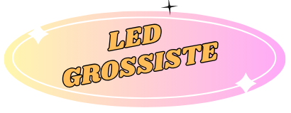 ledgrossiste.com